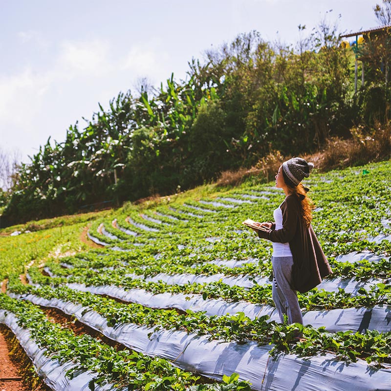 Fotografía de una mujer en un cultivo protegido por plástico biodegradable