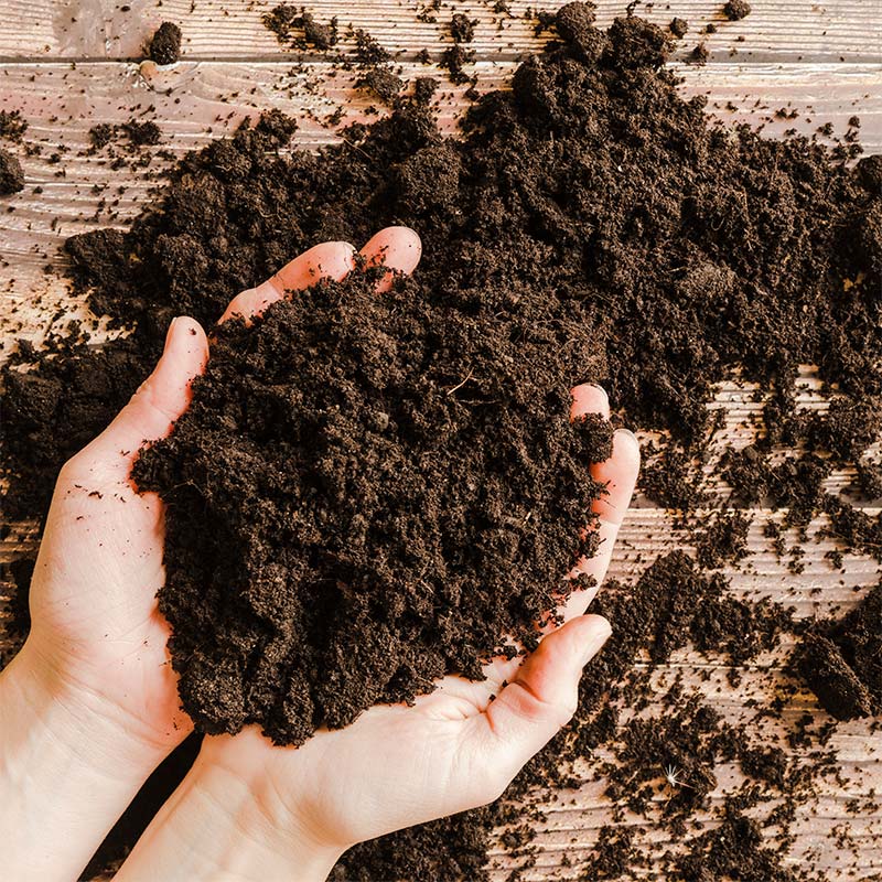 Fotografía de unas manos cogiendo una muestra de sustrato para cultivo